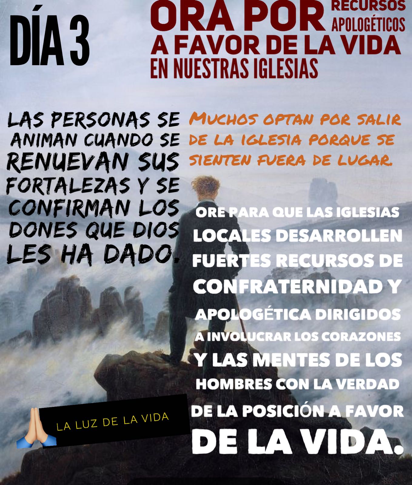 Día 3