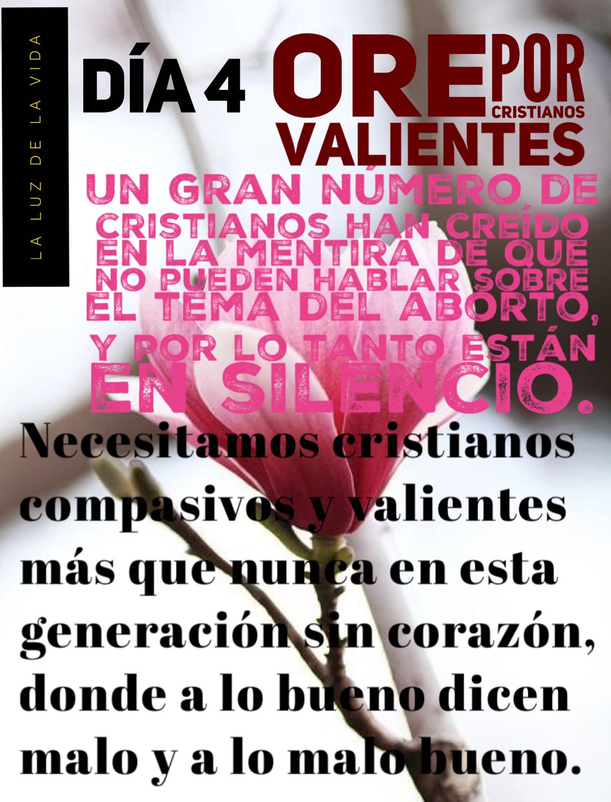 día 4